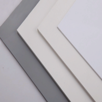 Плита ПВХ 3000х1500х10 мм темно-серый